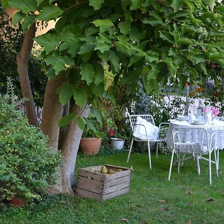 B&B La Magnolia Ostiglia ภายนอก รูปภาพ